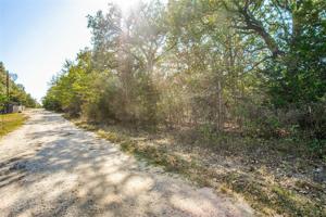 TBD Lakeview Trail