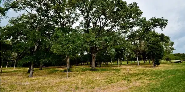 Lot 64 L64 Jackson Circle