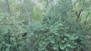 18015 Southhill Drive