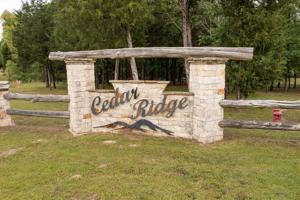 1180 Hwy 276 Drive