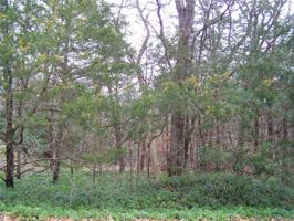Lot 10 TBD Lakepoint Loop E