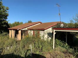 11113 FM ROAD 429 Road