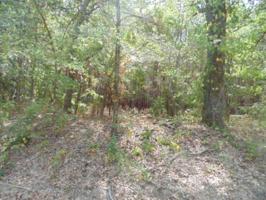 Lot 460 LT460 County Road 4712
