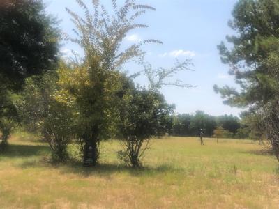County Road 1503