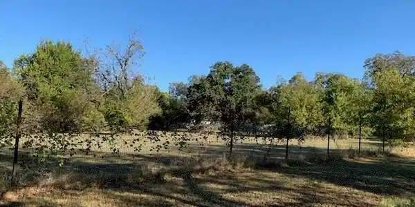 Lot 12 TBD County road 4875