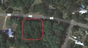 Lot 1 County Road 4307
