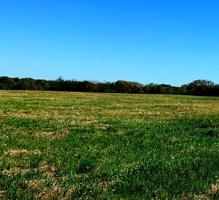 Tract 2 County Road 1843