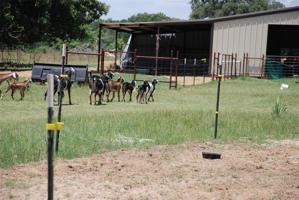 4115 Vz County Road 4714