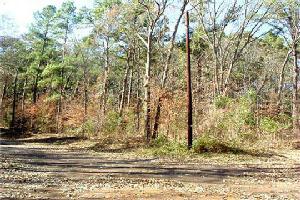 28 Walnut Circle Lot 28