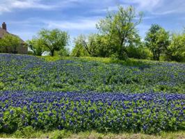 3259 Koscher Drive Lot 2594