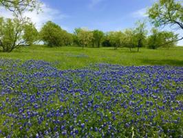 1098 Periwinkle Court Lot 2593