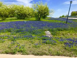 1104 Periwinkle Court Lot 2581