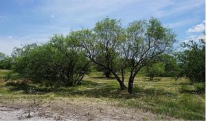Lot 525 Beacon Circle
