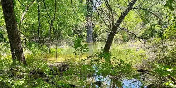 TBD Forest Trail Court