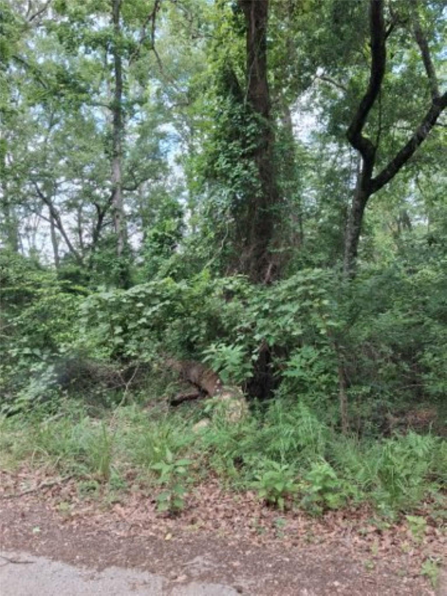 Image 2 Image 2