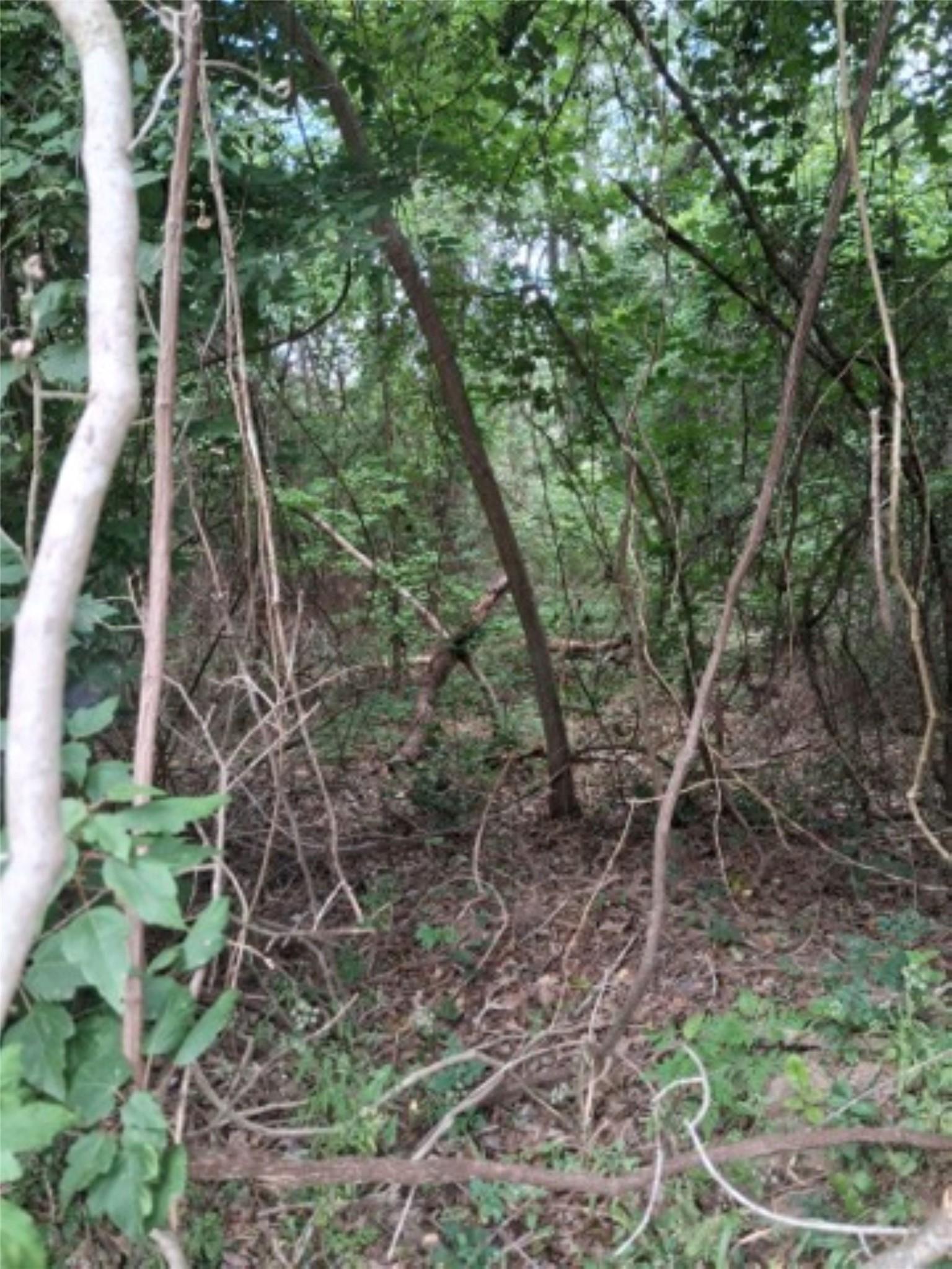 Image 3 Image 3