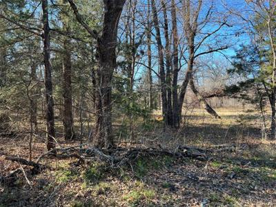 Lot 95 Dogwood Drive