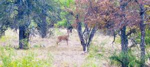 Lot 67 Janda Lane