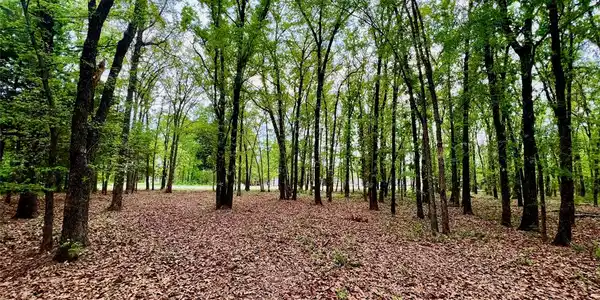 L 156 Clubhouse Drive