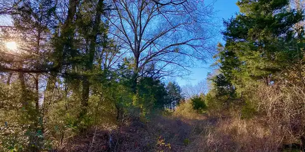 762 Hwy 75