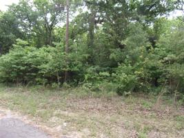 tbd Holly Glen