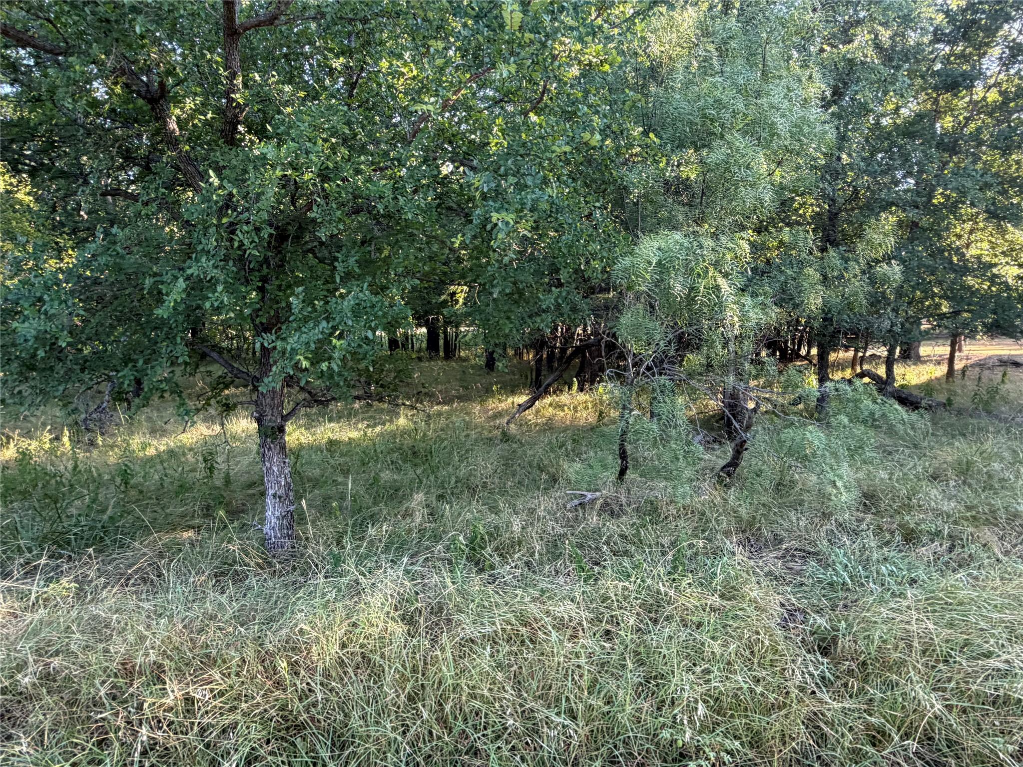 Image 3 Image 3