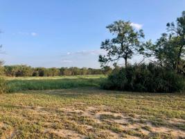 190 Shady Springs Drive