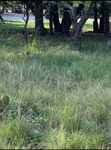 Lot 653 S Lakeside Drive