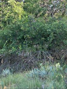 Lot 669 S Lakeside Drive