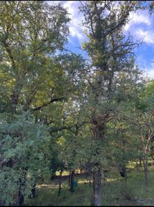 Lot 707 S Lakes Drive