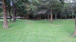 Lakeshore Drive Lot 280+