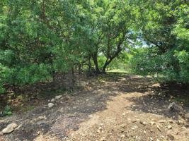 TBD Oak Farm Drive