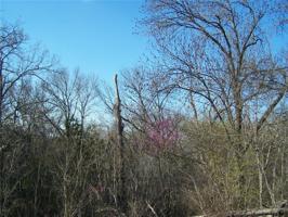 Lot 11 TBD Tanglewood Drive