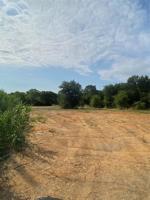 10638 County Road 1099
