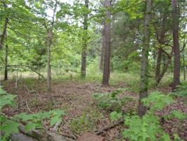 Lot 5 tbd Piney Point
