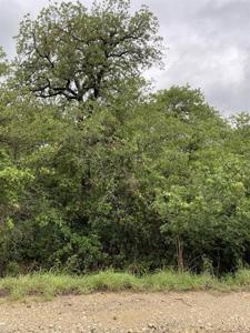 133 Goliad