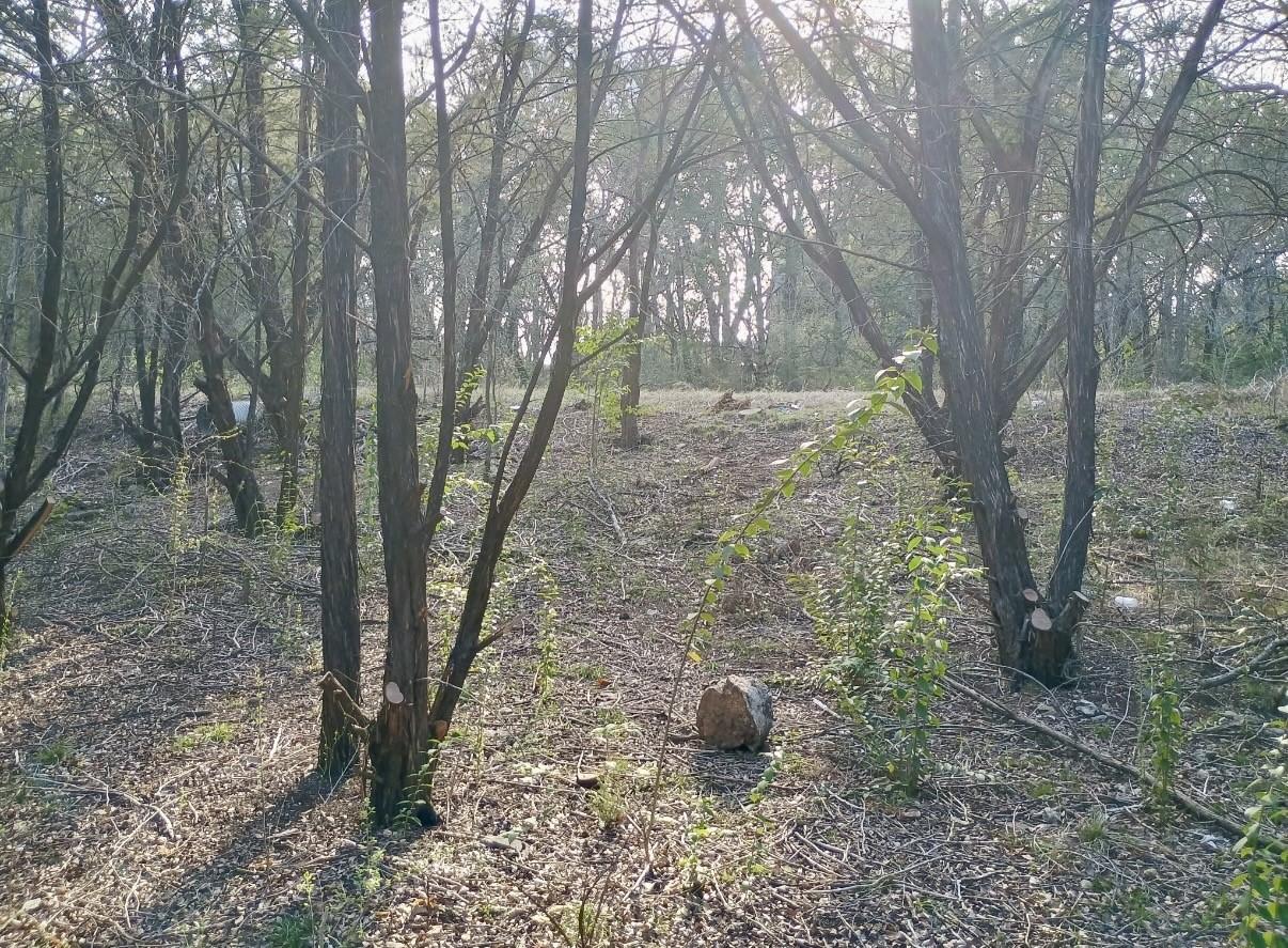 Image 4 Image 4