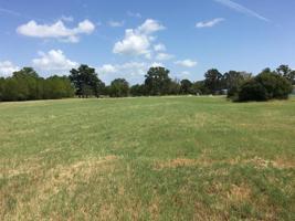 897 County Road 1895