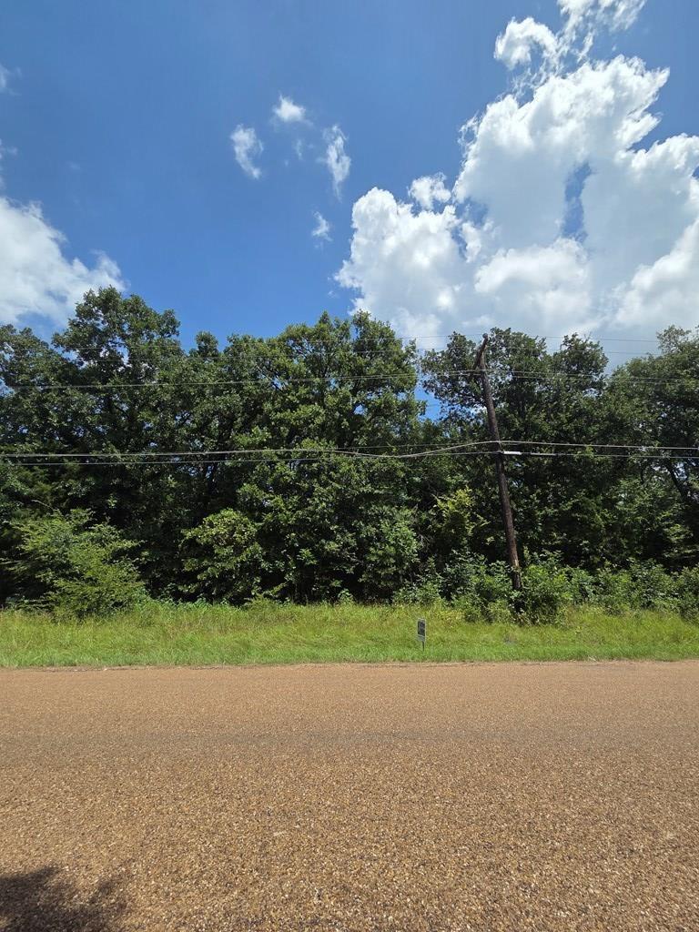 Image 4 Image 4