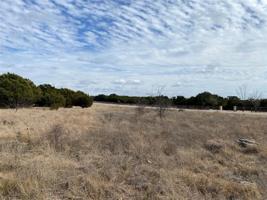 Lot577R Canyon Wren Loop