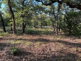 361 Nocona Drive
