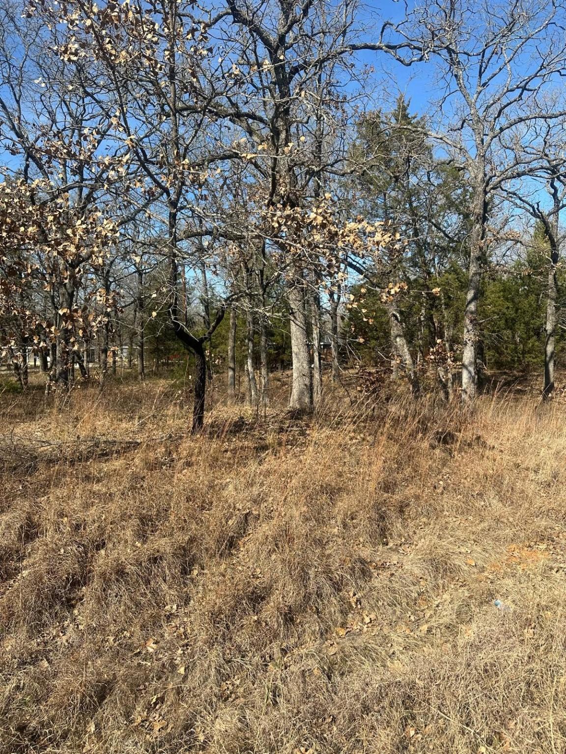 Image 4 Image 4