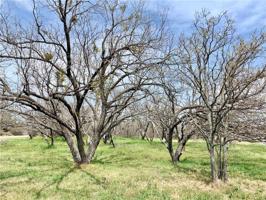 9657 County Road 204