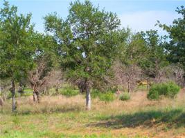 Lot 86 Canyon Wren Loop