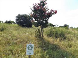 Lot 19 Rawhide Ridge