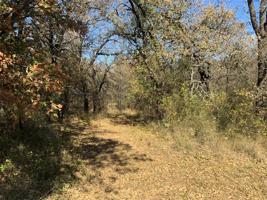 697 County Road 3701