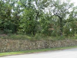 4450 Cascades Shoreline Drive Lot 3