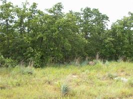 420 Bluffs Avenue Lot 420