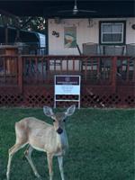 2334 Sandbar-Pk Lot 95