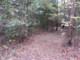 tbd Holly Glen